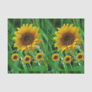 Mousseline Papier de tissu décoratif Tournesol