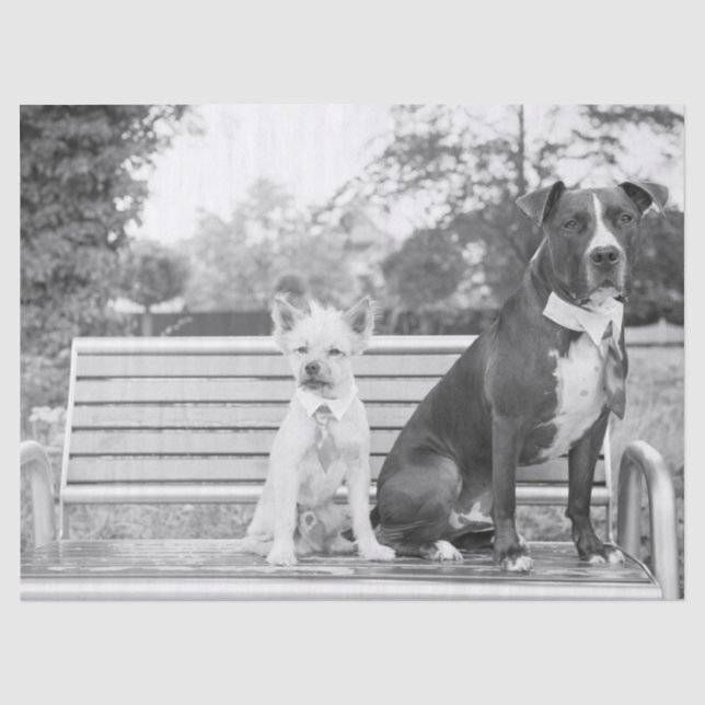 Mousseline Papier de tissu mariage Doggie (Recto)