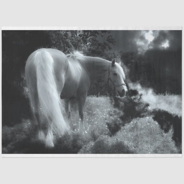 Mousseline papier de tissu mystique de cheval de nuit (Recto)