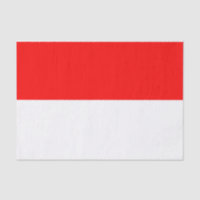 Papier de tissu patriotique avec drapeau d'Indonés