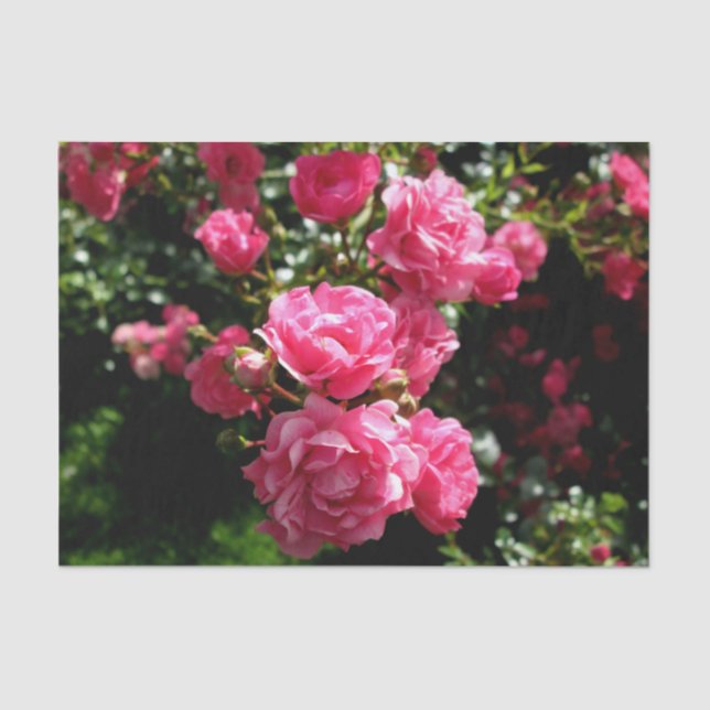 Mousseline papier de tissu rose roses (Recto)
