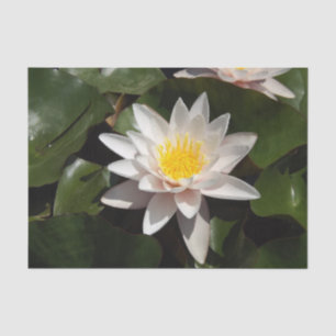 Mousseline Papier de tissu Water Lily
