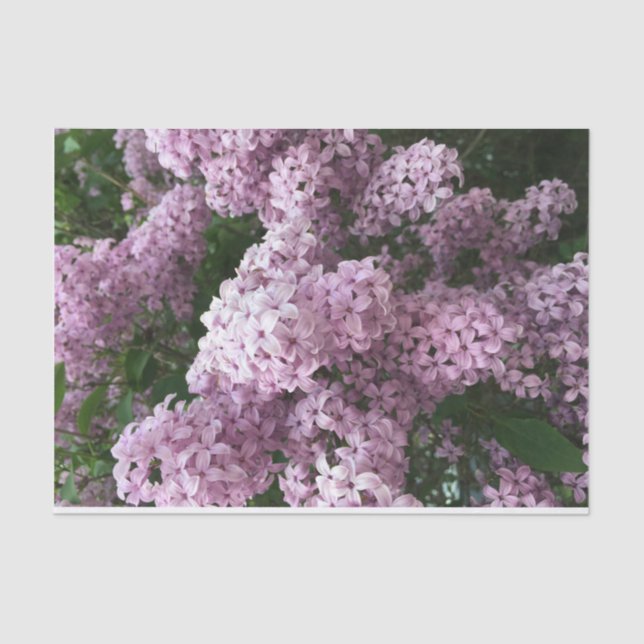 Mousseline Papier de tissus à fleurs Lilac (Recto)