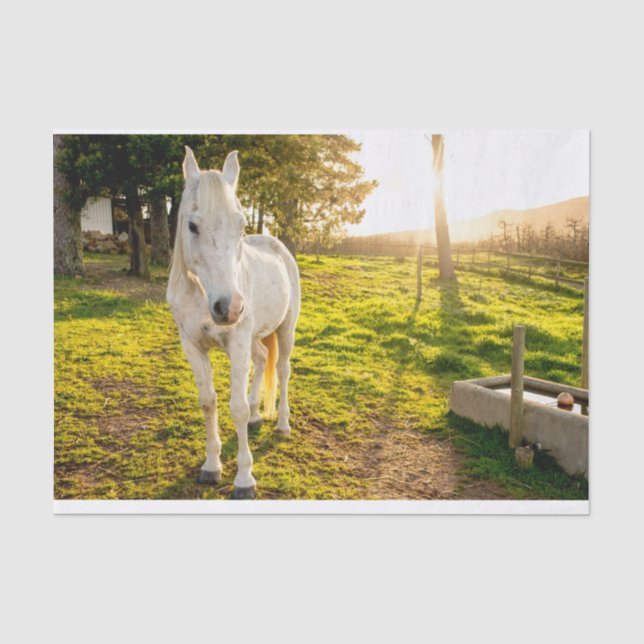 Mousseline Papier de tissus avec l'image du cheval blanc d'Ar (Recto)