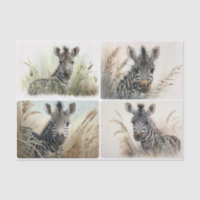 Papier de tissus Baby Zebra