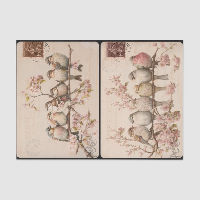 Mousseline Papier de tissus Branchy Birds (Recto)