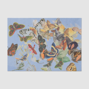 Mousseline Papier de tissus BUTTERFER