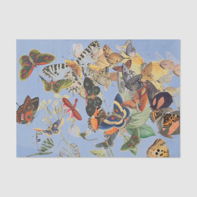 Mousseline Papier de tissus BUTTERFER (Recto)