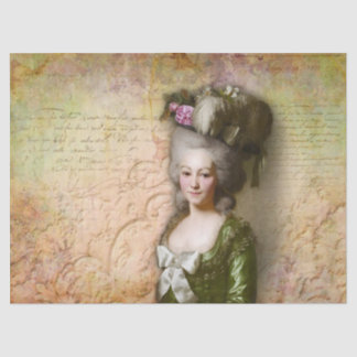 Mousseline Papier de tissus de la dame aristocratique