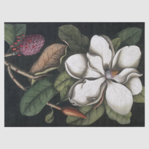 Mousseline Papier de tissus de morue à fleurs de Magnolia 173