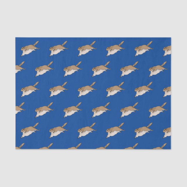 Mousseline Papier de tissus d'écureuil volant (Recto)