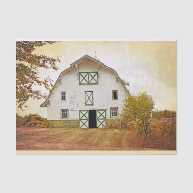 Mousseline Papier de tissus enveloppant la nacelle du coucher (Recto)