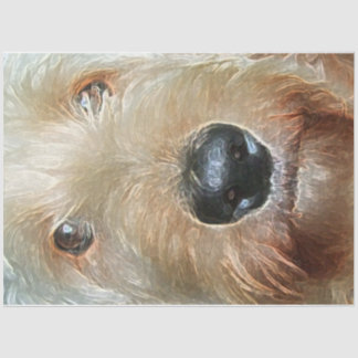 Mousseline Papier de tissus Golden Doodle pour cadeaux et déc