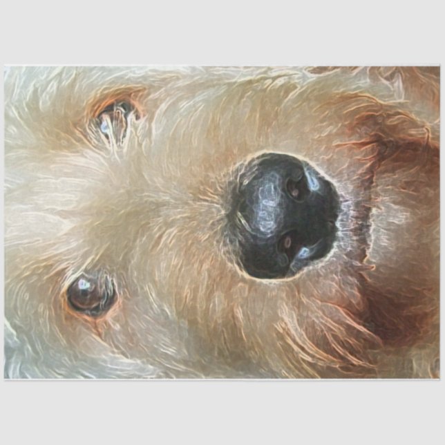 Mousseline Papier de tissus Golden Doodle pour cadeaux et déc (Recto)