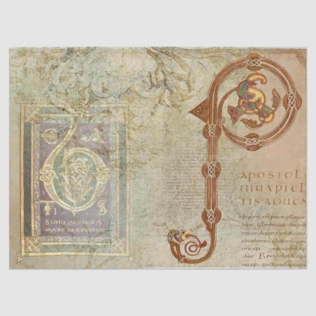 Mousseline Papier de tissus médiéval éclairé (Recto)