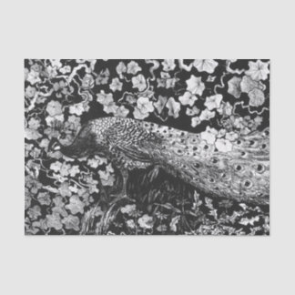 Mousseline Papier de tissus NOIR ET BLANC PEACOCK