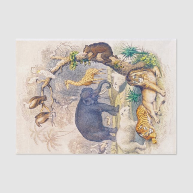 Mousseline Papier de tissus ou de découpage pour animaux Vint (Recto)