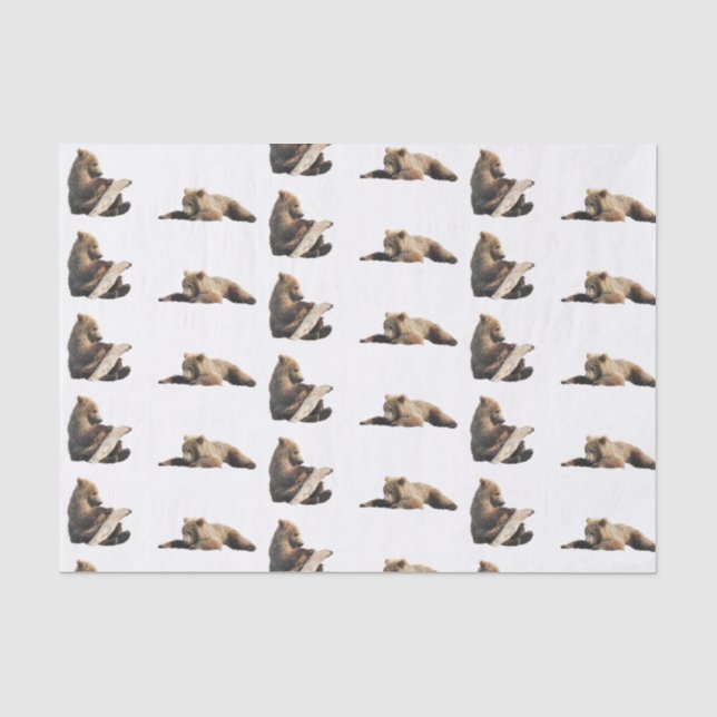 Mousseline papier de tissus pour ours grizzli (Recto)