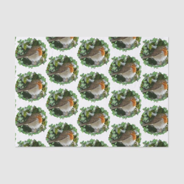 Mousseline Papier de tissus Robins - 15 gsm (10 lb), blanc (Recto)