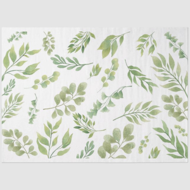 Mousseline Papier de tissus végétal vert flottant (Recto)