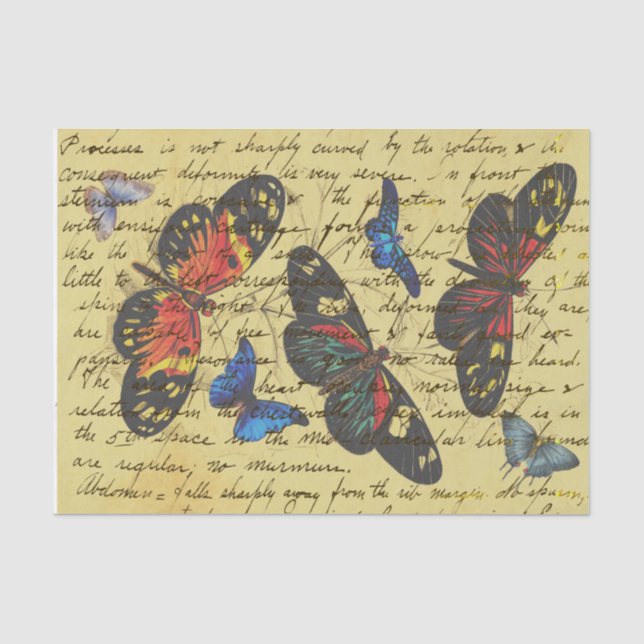 Mousseline Papier Découpe Papillon Vintage Écriture (Recto)