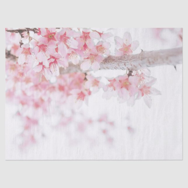 MOUSSELINE PAPIER EN TISSU : CHERRY BLOSSOM (Recto)