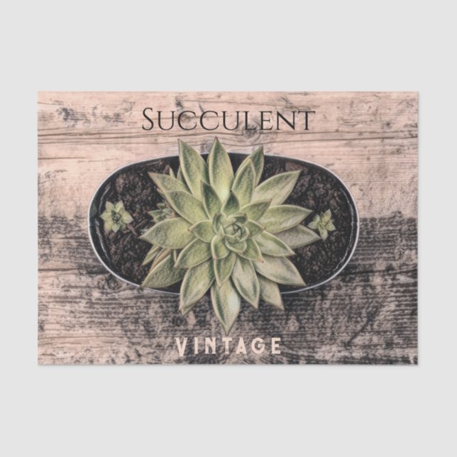 Mousseline Papier Éphémère Botanique Vert de Succulente Rétro (Recto)