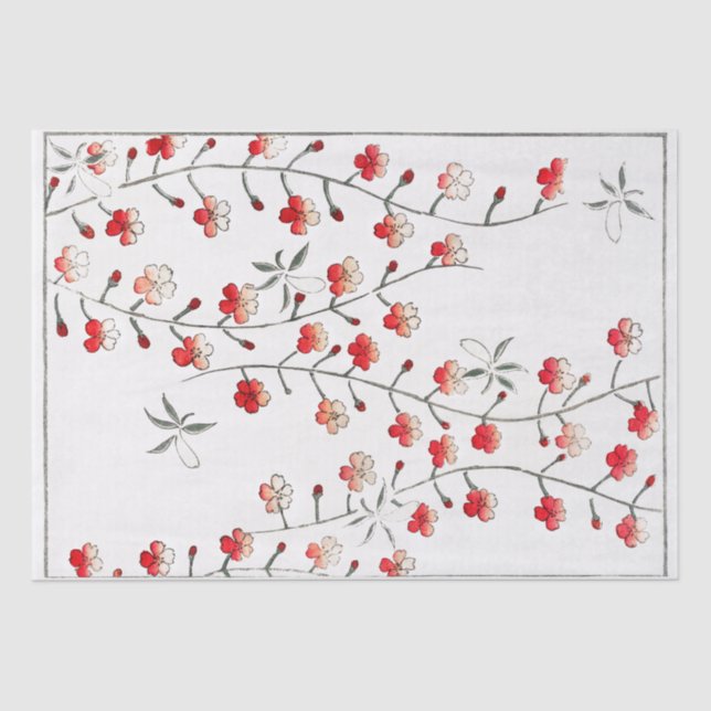 MOUSSELINE PAPIER MOUSSELINE: WATANABE SEITEI : CHERRY BLOSSO (Recto)