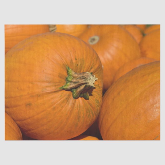 Mousseline Papier papier citrouille (Recto)