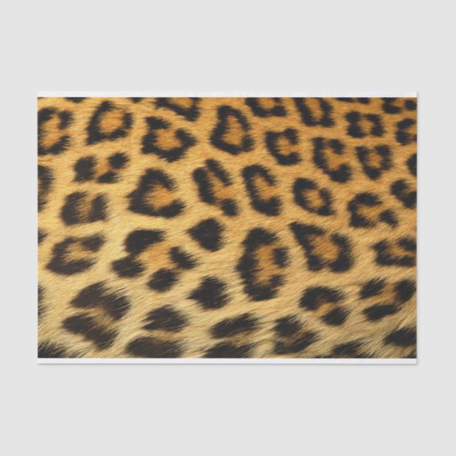 Mousseline Papier papier Motif Leopard Poster de animal (Recto)