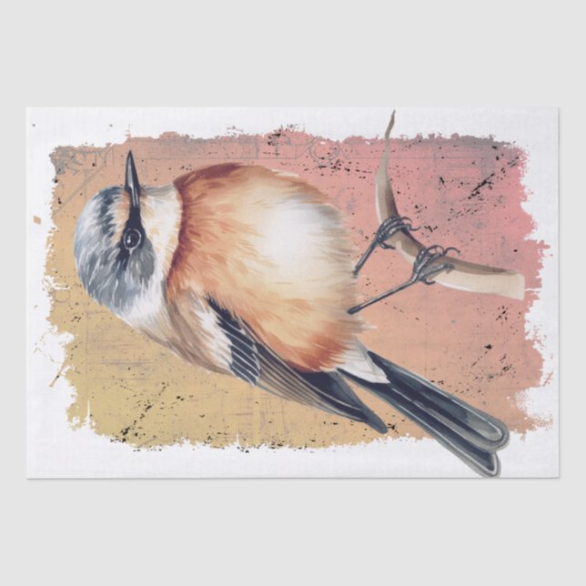 Mousseline Papier Tissu Africain Stonechat Bird (Recto)