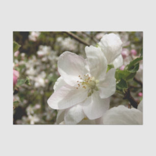 Mousseline Papier Tissu Apple Blossom