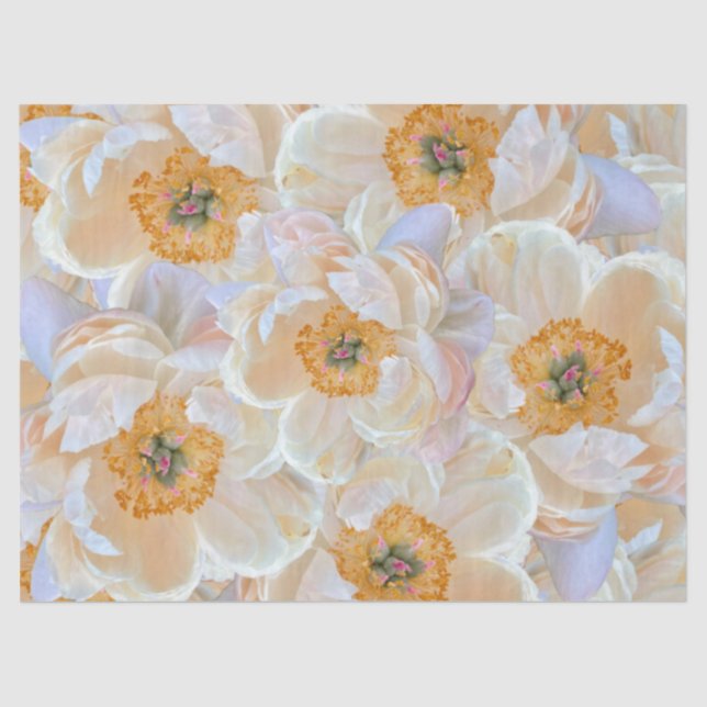 Mousseline Papier Tissu Blush Peony (Recto)