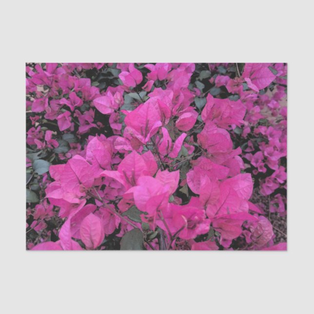 Mousseline Papier Tissu Bougainvillea (Recto)