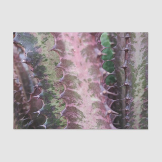 Mousseline Papier Tissu Cactus (Recto)