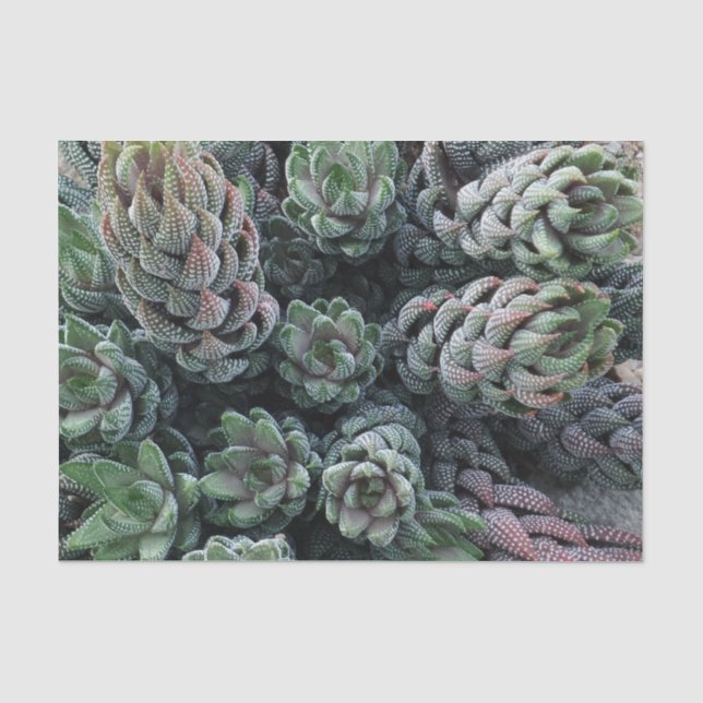 Mousseline Papier Tissu Cactus (Recto)