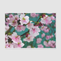 Papier Tissu Cherry Blossom
