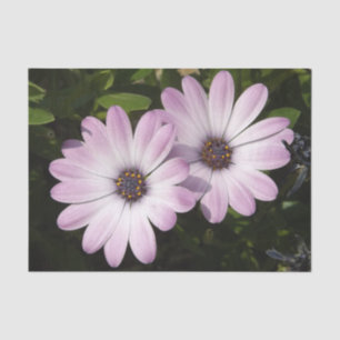 Mousseline Papier Tissu Daisy