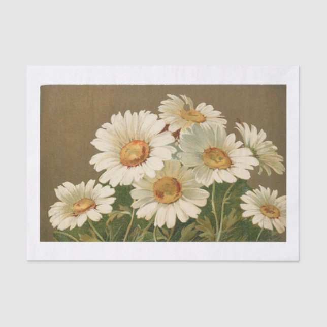 Mousseline Papier Tissu Daisy vintage (Recto)