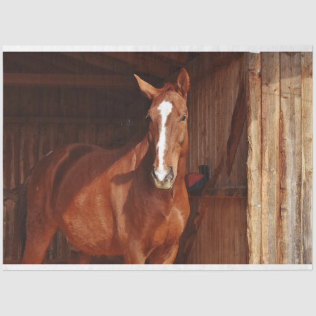 Mousseline papier tissu de cheval de grange (Recto)