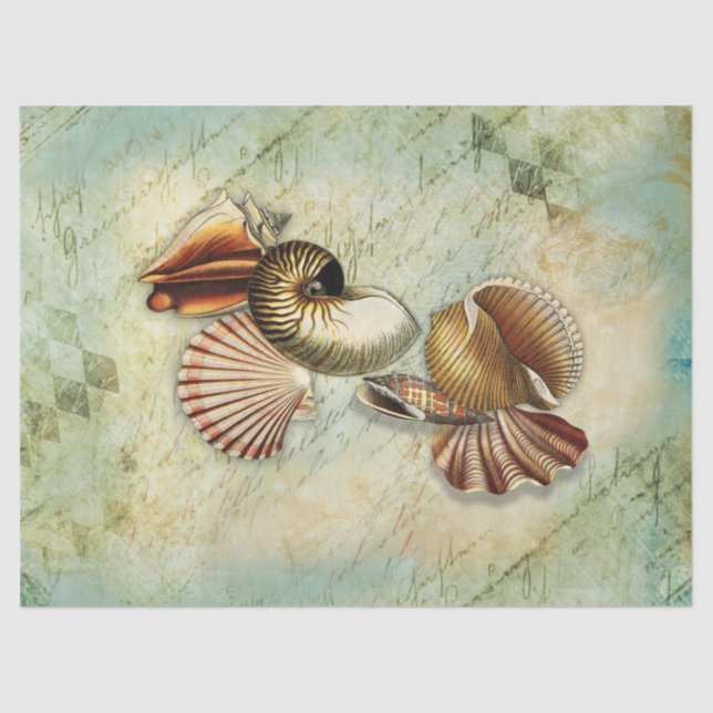 Mousseline Papier Tissu De Découpage Des Coquillages vintages (Recto)