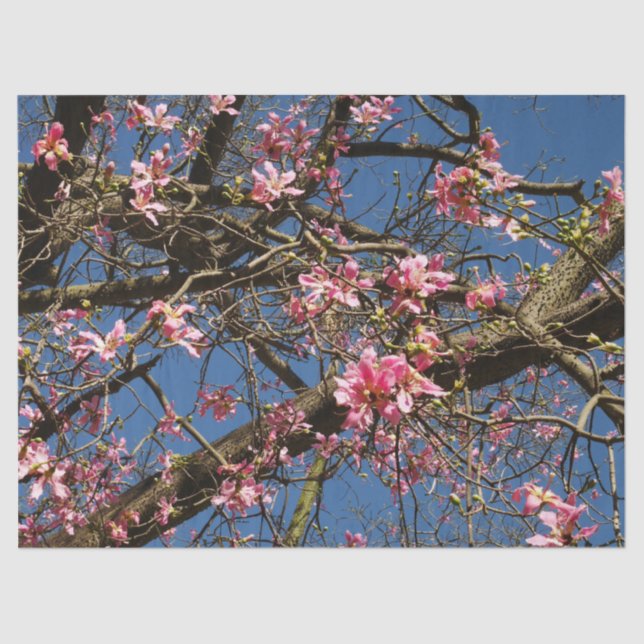 Mousseline Papier Tissu De Fleur Arbre De Soie (Recto)