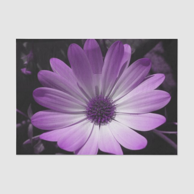 Mousseline Papier Tissu De Fleur De Fleur Violet (Recto)