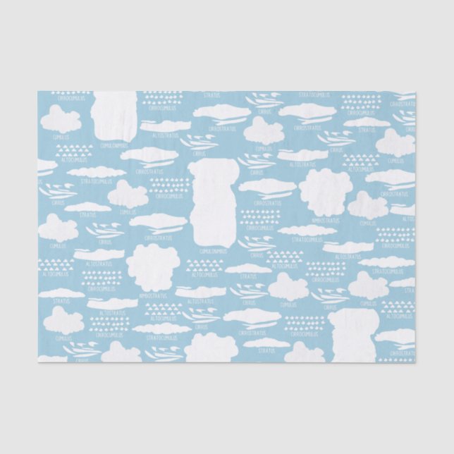 Mousseline Papier Tissu De Nuages Mignons (Recto)