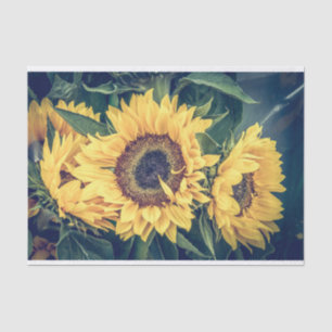 Mousseline Papier Tissu Des Fleurs De Soleil