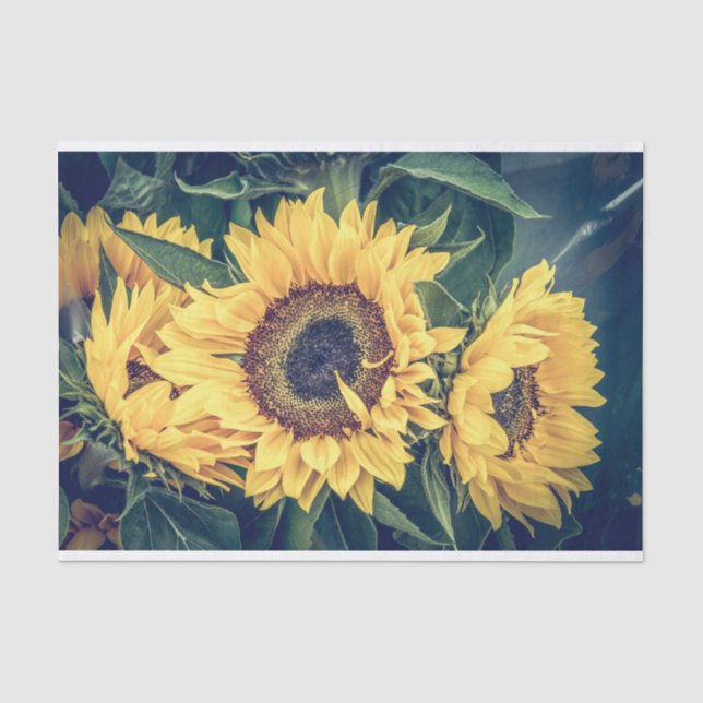 Mousseline Papier Tissu Des Fleurs De Soleil (Recto)