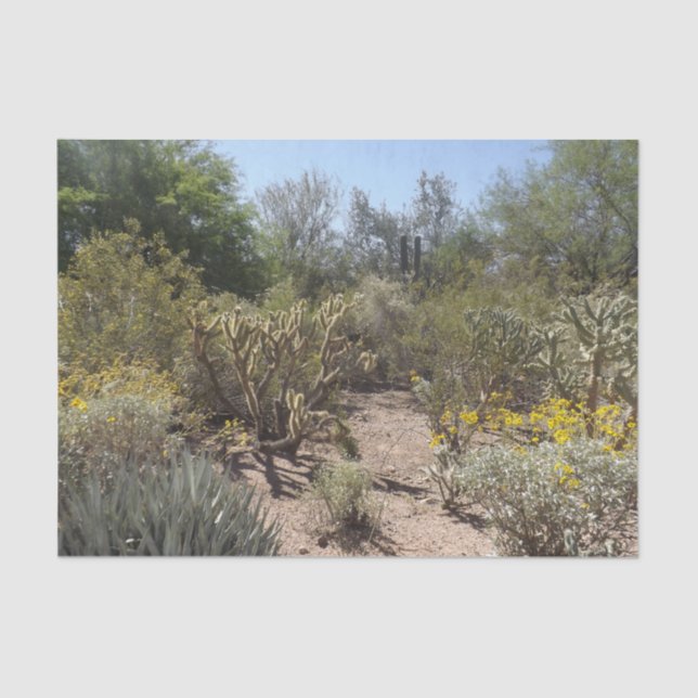 Mousseline Papier Tissu Désert (Recto)