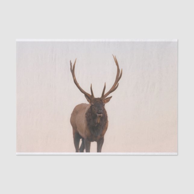 Mousseline Papier Tissu Elk (Recto)