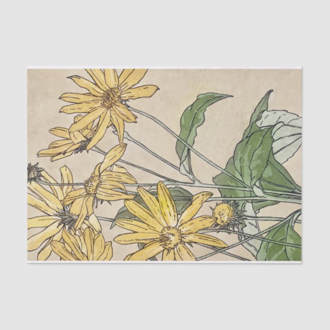 Mousseline Papier Tissu Fleurs vintages (Recto)