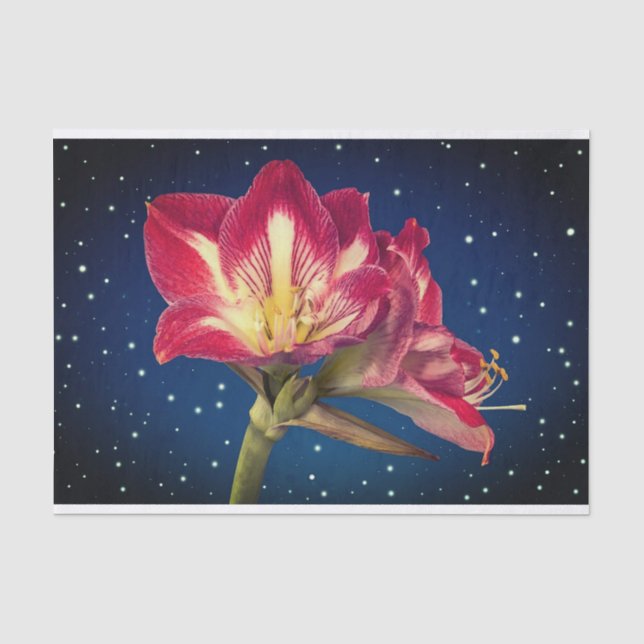 Mousseline Papier Tissu Floral (Recto)